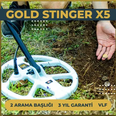 Mega Detection Gold Stinger X5 Çok Frekanslı Ekranlı Altın ve Define Dedektörü (Çift Başlıklı, 2D Grafik) görsel 4